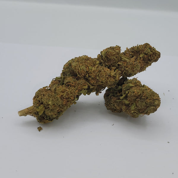 LA STRAWBERRY CBD indoor