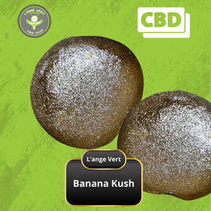 Banana Kush H CBD