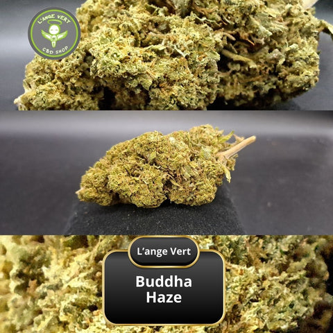 Buddha Haze CBD