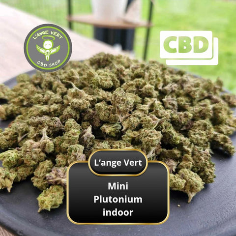 MINI PLUTONIUM cbd indoor