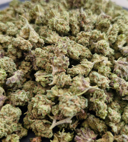 MINI PLUTONIUM cbd indoor