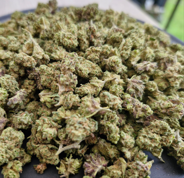 MINI PLUTONIUM cbd indoor