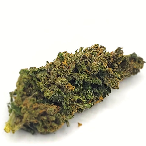 LA PINK LADY CBD greenhouse