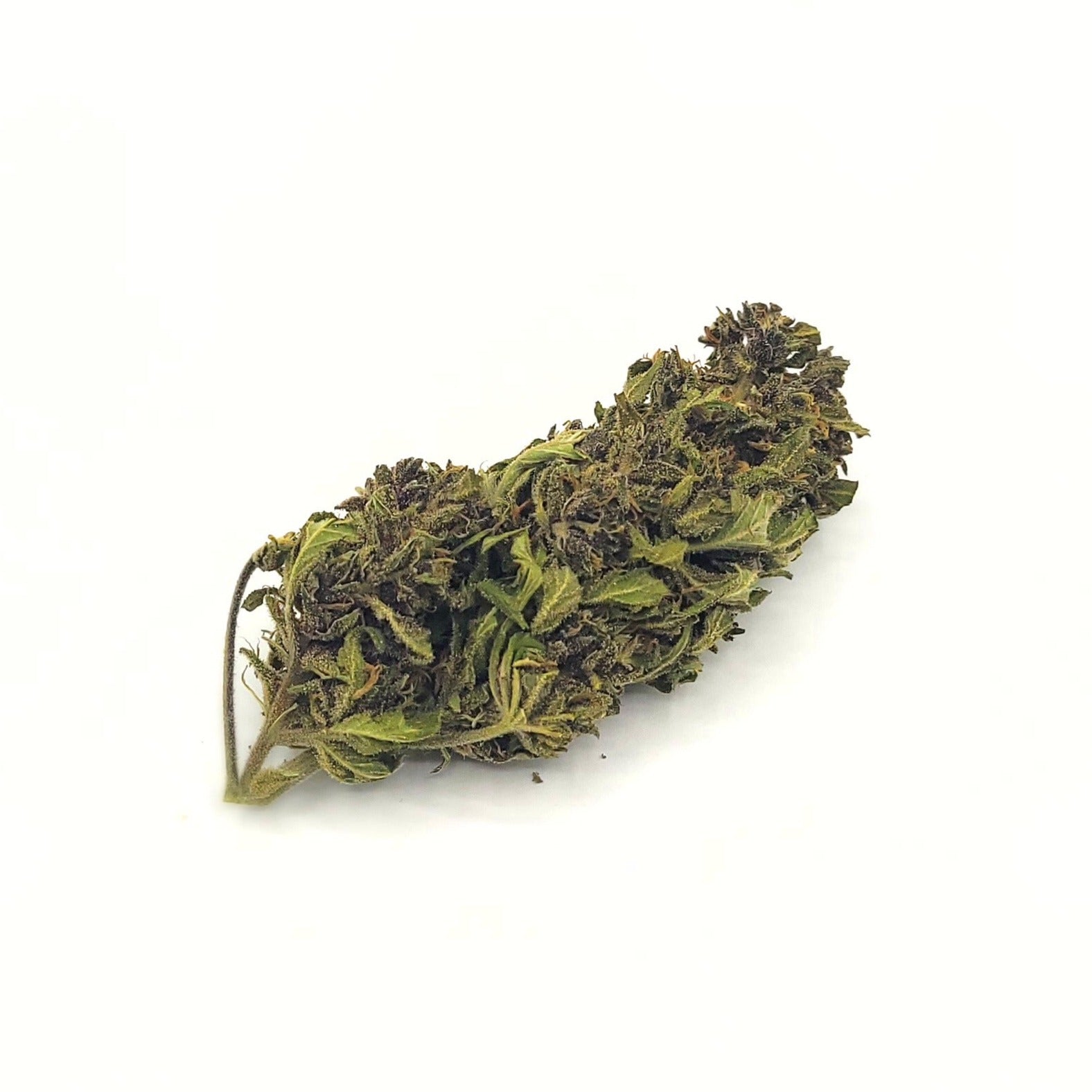 LA PURPLE HAZE CBD hybrid glasshouse