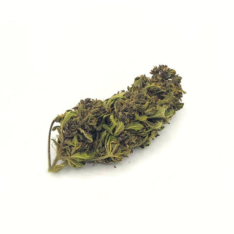 LA PURPLE HAZE CBD hybrid glasshouse