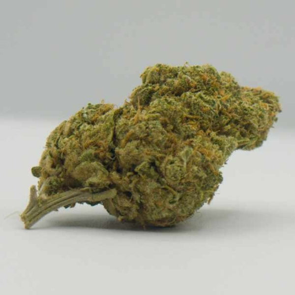 L' AMNESIA HAZE cbd hydro