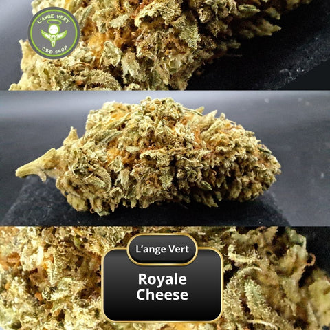 Royale cheese CBD