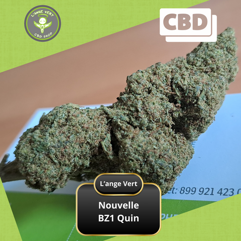 BZ1 Quin CBD