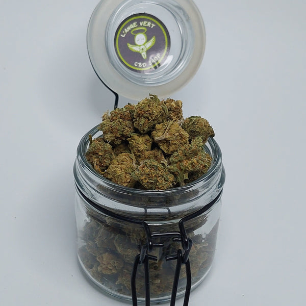LA TRIM DE L'ANGE mini buds