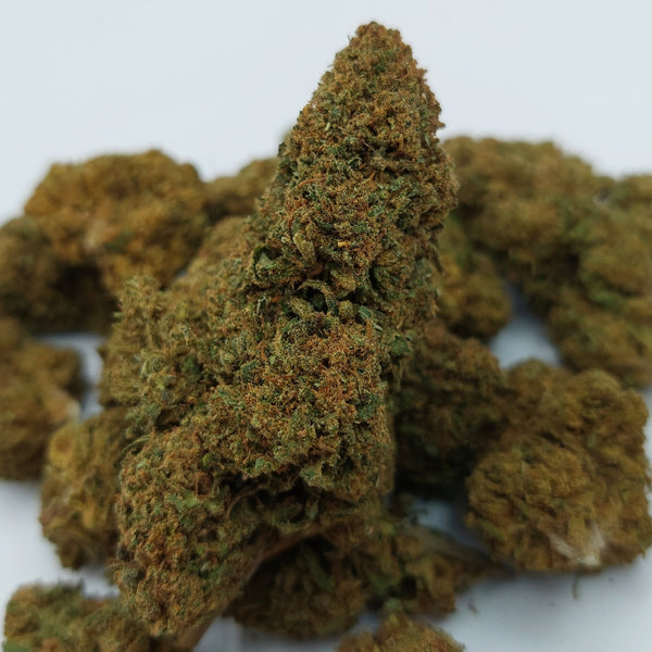 LA CANNATONIC CBD indoor