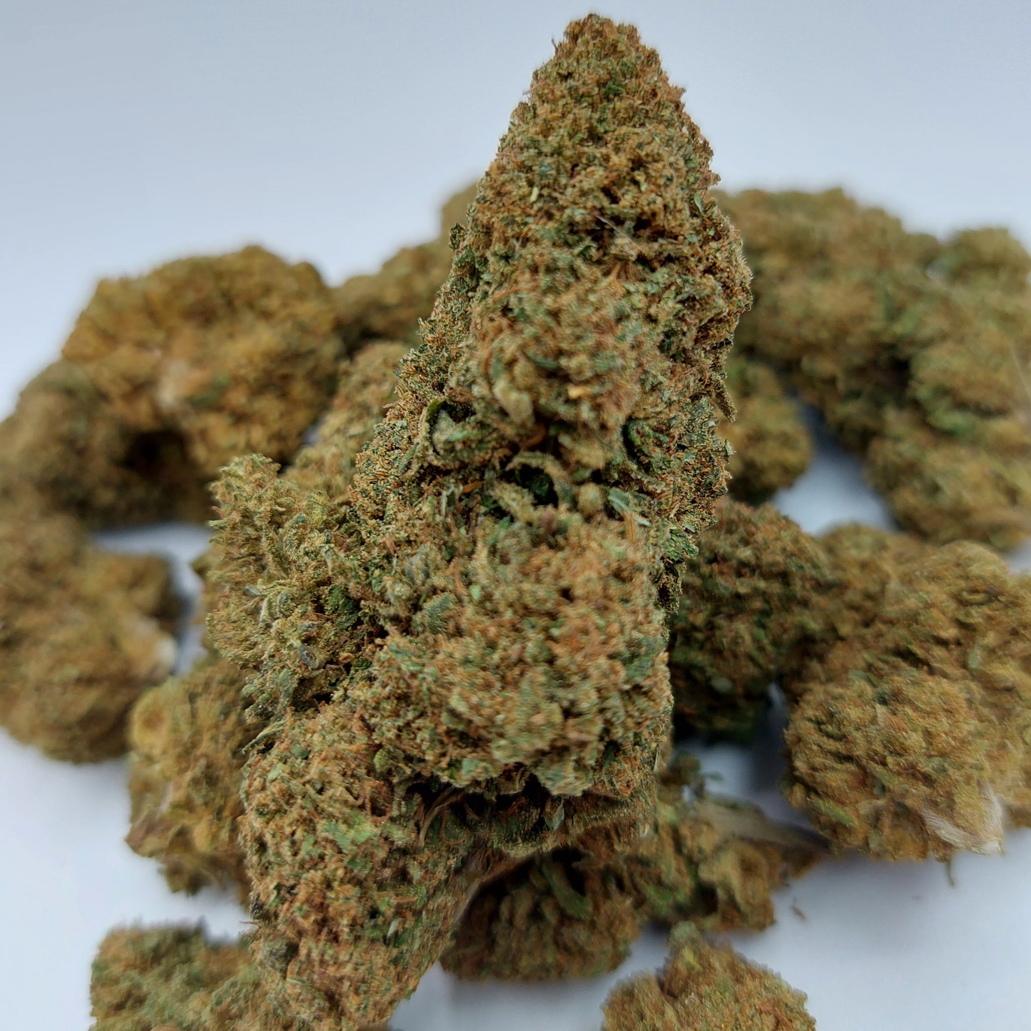 LA CANNATONIC CBD indoor
