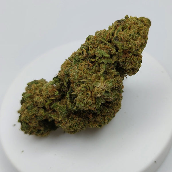 LA CANNABUBBLE CBD glasshouse